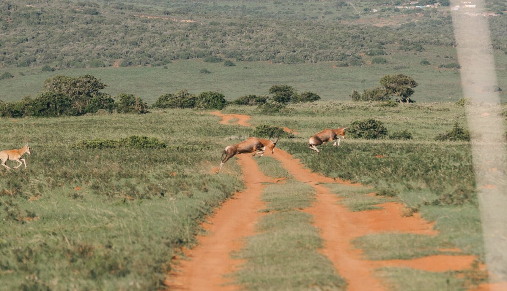 Paisaje de San Román de la Vega
