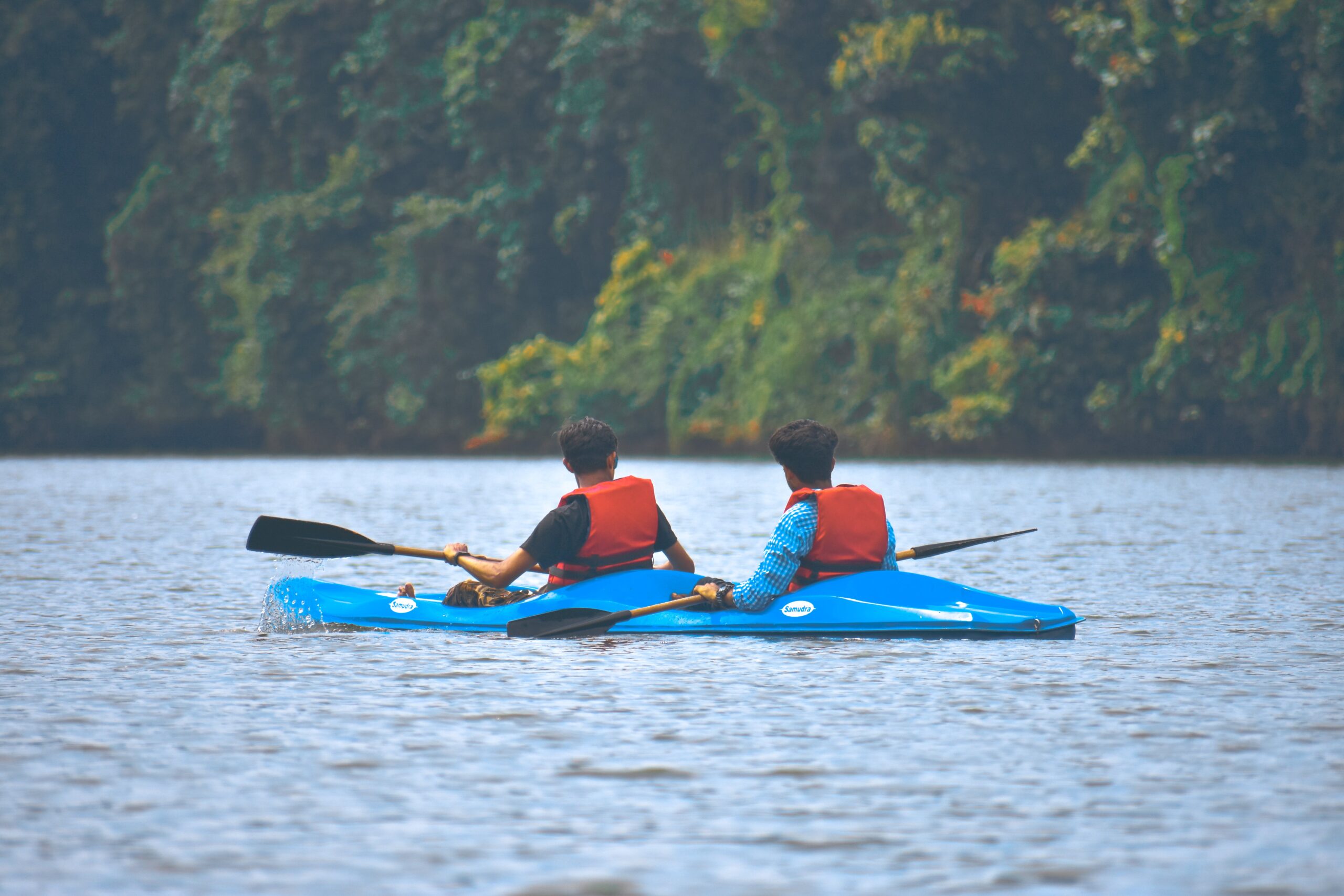Actividades y excursiones en la zona
